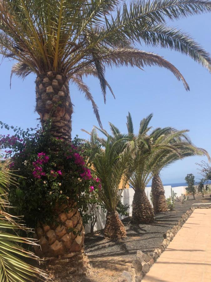 Apartamento La Tortuga De Fuerteventura Costa De Antigua Luaran gambar
