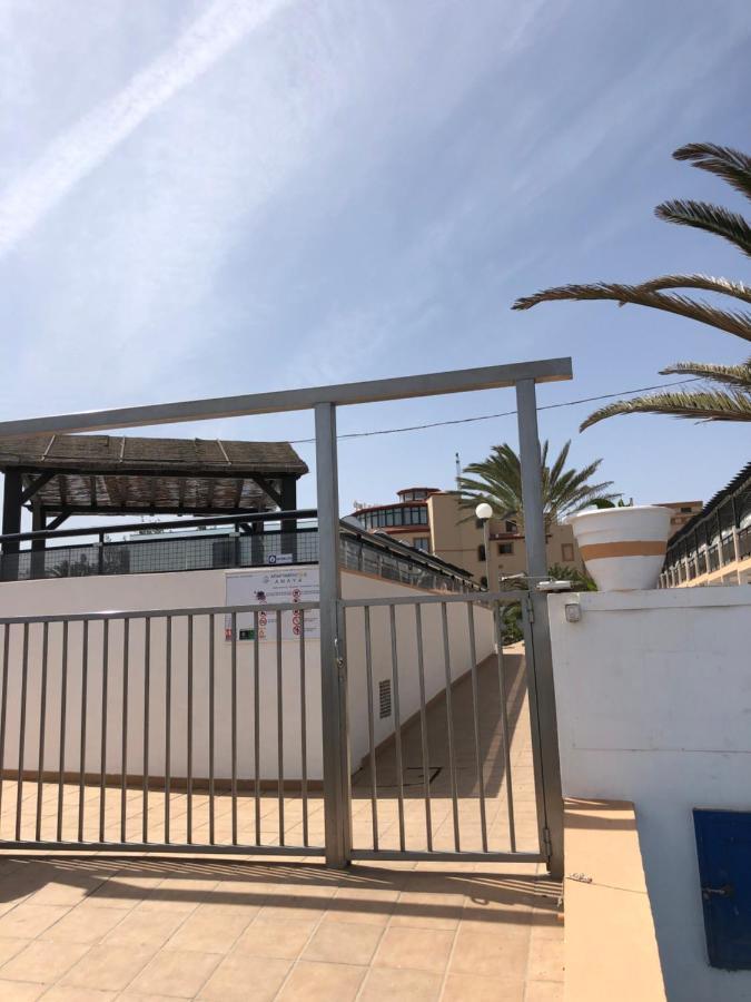 Apartamento La Tortuga De Fuerteventura Costa De Antigua Luaran gambar